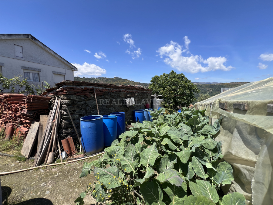 181_6833278eb1de6.jpg