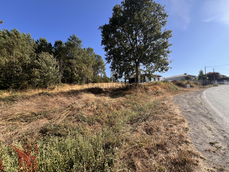 530b497d4020c00e.jpg