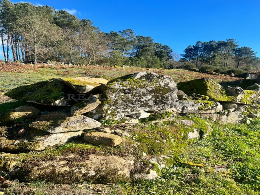 bf038d763416cc1d.jpg