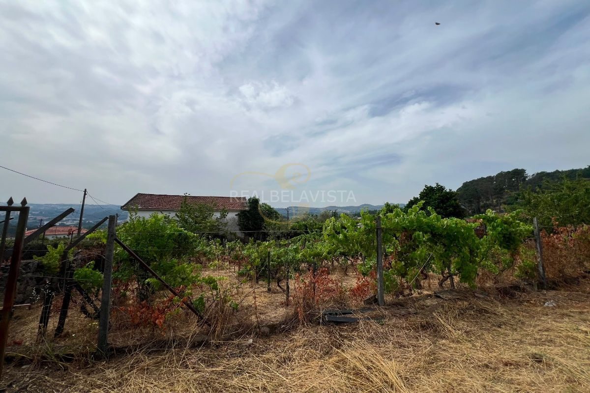 Terreno com Viabilidade de Construção