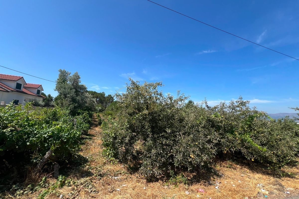 Dois lotes de terreno com viabilidade de construção em Constantim