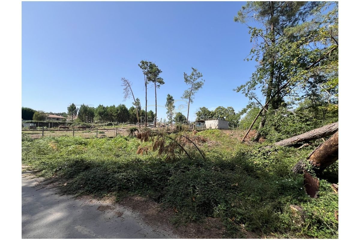 Terreno Rústico com 1.350 m²